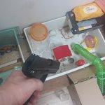 지난여름 홈플이가 9마리새끼를 낳았을때~~~