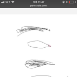 눈커지는법알려준다 하루5분 <b>실천</b>