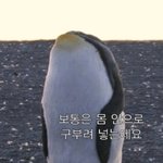 시선강간 <b>용어</b> _같음
