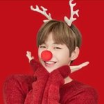 [강다니엘] 느낌다른 <b>루돌프</b> 강다니엘