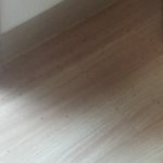 나 좀 도와줘 제발   ㅠㅠㅠ <b>개미</b>가 엄청 처들어왔어 ㅇ 리집에...