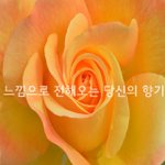 [좋은글귀] 느낌으로 전해 오는 당신의 향기