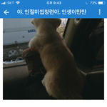 [드루와] 남연갤년들 하다하다 <b>절미</b>한테도 열폭하네ㅋㅋ;;;