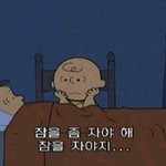 [댓글부탁해] 속<b>쌍</b>짝눈은 무<b>쌍</b>이라치냐 <b>유</b><b>쌍</b>이라치냐