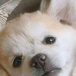 둘중에 뭐가 더 흔한이름이야?