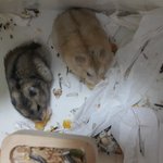 혹시 이 <b>북문</b>이하고 홈플이 데려가실뿐 있음