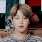 방탄 팬인데 서러워 죽겠음,,,,