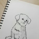 [드루와] <b>절미</b> 그려봣음