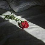 산다고 살았는데 니나 남 눈에 안 뵈면 대체 뭔 소용이냐 <b>Damn</b>