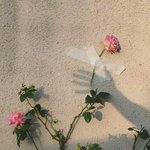 [댓글부탁해] <b>엄마</b> <b>앞</b>에서 면도기를 들고 나가 피를 흘리면서 들어온건...