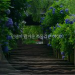 [좋은글귀] 인생이 즐거운 <b>주옥</b>같은 이야기