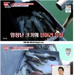 [명랑엽떡] 천<b>조국</b>이 동물을 대하는 방식