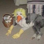 <b>유산소</b>운동 추천좀 ㅠㅠ