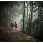 건강관리, 산책하며 걷기 운동 효과, 건강관리하며 일석이조, 918...