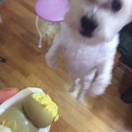 짝남이 내 교복 <b>명찰</b>에 지 네임스티커