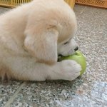 [드루와] 오늘 개설렜다 하