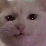 <b>3ce</b>벨벳립틴트 언제 세일하냐......