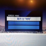 팬덤 정치질은 귀여운 수준이었네