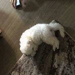 [EXO] 한장만 더...