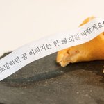 [포춘<b>쿠키</b>] 190905 포춘<b>쿠키</b> 열어보고 가!