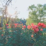 [댓글부탁해] 나 사진찍는거 좋아해
