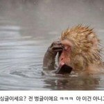 [댓글부탁해] 늦은 밤이지만 나 우울해졌어