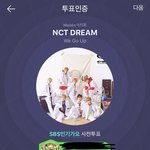 [NCT] 인가투표인증!물어볼거있는데
