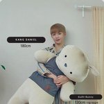 [강다니엘] 걸리<b>버니</b> 녜리랑 같이 퇴근했데 ㅋㅋㅋㅋㅋㅋ