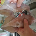 [댓글부탁해] 홈쇼핑에서 오징어를 샀는데 봐주세요