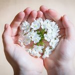 [<b>찬양</b>가사] 하나모 은혜 <b>찬양</b> 가사 - 이인강/아멘충성