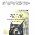 [명랑엽떡] <b>순직</b> 1호 경찰견의 마지막 가는 길