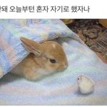[댓글부탁해] 재수생 한년 ㅈㄴ깝치고 웃기고 <b>가소</b>로움