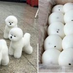 얘들아 이노래 이름 <b>모야</b>??ㅠ