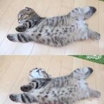 니트류 이쁜곳 추천좀 해주라 ㅜㅜ