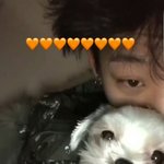 [댓글부탁해] <b>이강아지</b> 귀엽다 추반