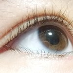 [조언부탁해] 화장/<b>뷰러</b>잘하는애들아ㅠ