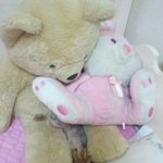 [강아지] 우리 강아지 이<b>정도</b>면 <b>사람</b>인거같음