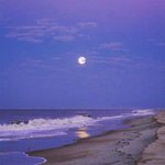 [ㅈㄱㄴ] 여고 오고 <b>XY염색체</b>랑 단절됨