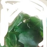 얘들아 빨리 내 <b>누에</b> 좀 봐봐