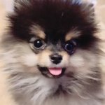 [댓글부탁해] 저를<b>의지</b>하는사람이 너무 많아요