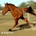 이수민 최근에 <b>뭔</b> <b>일</b>있었지??