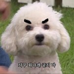 [드루와] 우리<b>반애</b> 너무 짜증남ㅡ;;