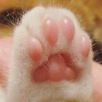 [댓글부탁해] 애들아 너네 아침 뭐먹을거야?