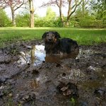 진흙만 보면 왜그르니?