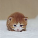 민지야 보고<b>시포</b>...