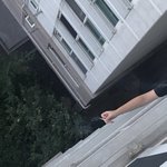 [댓글부탁해] +)아파트 집안 담배냄새 어떡해야하나요ㅠㅠ