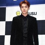 [EXO] 뭐냐 세훈이 독꼬 <b>제작</b>발표회 하고있네