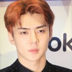 [세훈] 180907 독고리<b>와인</b>드 제발회 프리뷰6