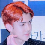 [세훈] 180907 독고리<b>와인</b>드 제발회 프리뷰10