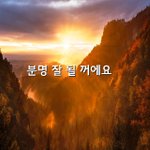 [좋은글귀] 분명 잘 될 꺼에요